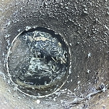 Nassau-Bay-TX-Sewer-Line-Solutions-Advanced-Camera-Inspection-for-Precise-Leak-Detection-Expert-Repair-and-Replacement 3